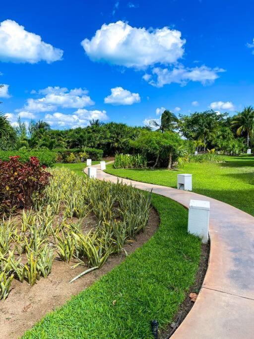 Punta Me Luxury Apartments Ocean View & Beach Front In Amara Cancún Eksteriør billede